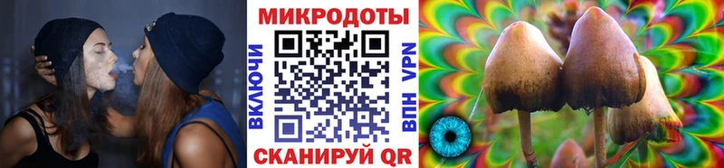 Галлюциногенные грибы Magic Shrooms  Одинцово 