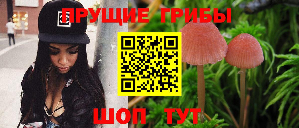 Псилоцибиновые грибы ЛСД  Вход с VPN  Одинцово 